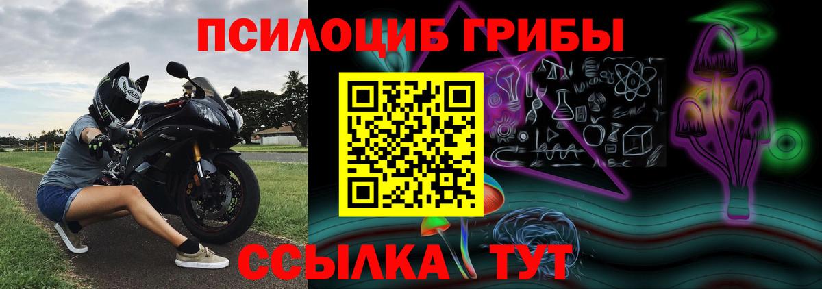 Галлюциногенные грибы Psilocybe  Вход с VPN  Карачаевск 